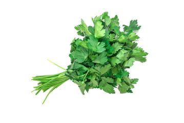 A bunch of parsley isolated on white background.