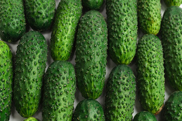 Fresh green cucombers as a background