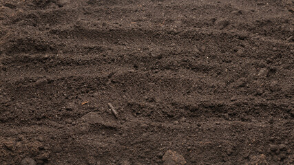 Black land for plant background. Top view.
