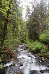 McDowell Creek Falls, Oregon