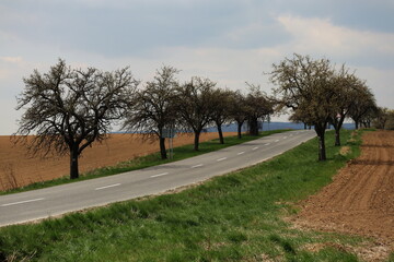 Landscape near Rybky village, Zahorie region in west Slovakia