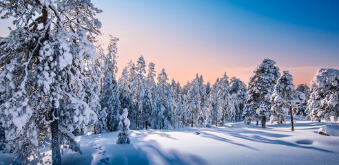 Winter snow landscape in Finland, Lapland.