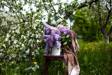 a  bouquet of lilac flowers in the can in the blooming spring apple garden