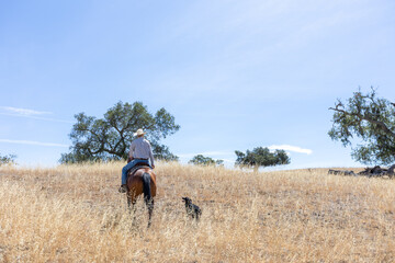 Obraz premium Beautiful Landscape Image of Rider and Dog in Field on Ranch