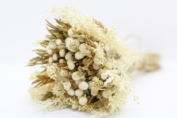 Bouquet fleurs séchées - Fond blanc