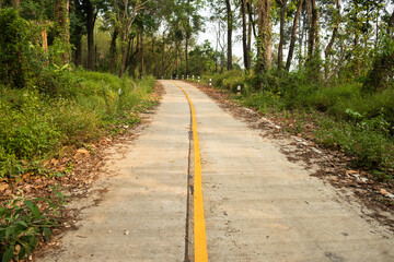 Fototapeta na wymiar Thailand country road landscape.Traveler journey by roads.the scenery of the country road