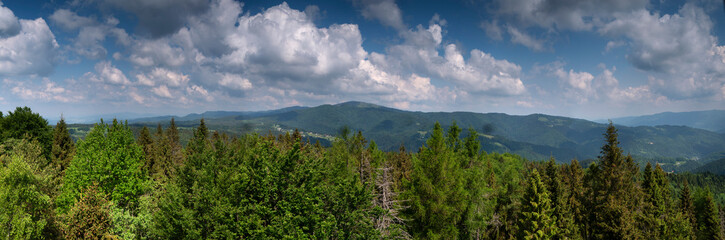 Panorama z wieży widokowej na Eliaszówce na Masyw Radziejowej