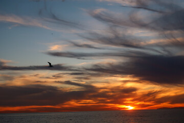Fototapeta na wymiar Sunset in Orange County, California 