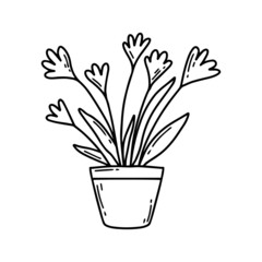 Houseplant in a pot. Nice houseplant. A beautiful plant. Vector illustration in doodle style.