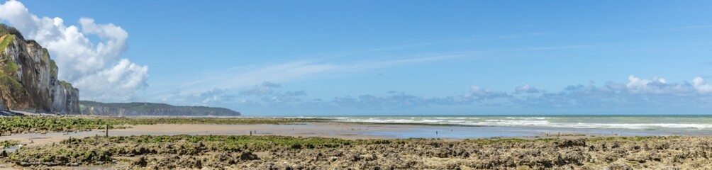 Fototapeta na wymiar France, normandy landscape Beautiful Normandy's coastline on a cloudy day.