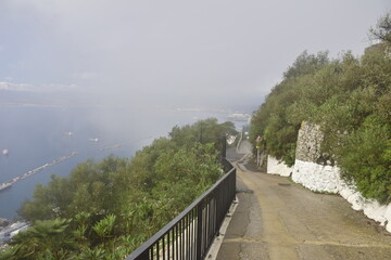 Fototapeta premium Gibraltar, United Kingdom - 07 november 2019: Rock of Gibraltar in the fog, view over port and straight from the peak