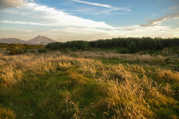Fototapeta premium Mt Egmont view sunset snowcapped volcano in New Zealand Aotearoa