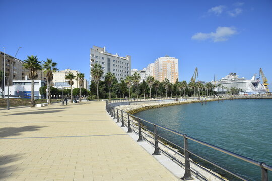 Cadiz, Spain - 06 november 2019: Paved embankment with tall palm trees