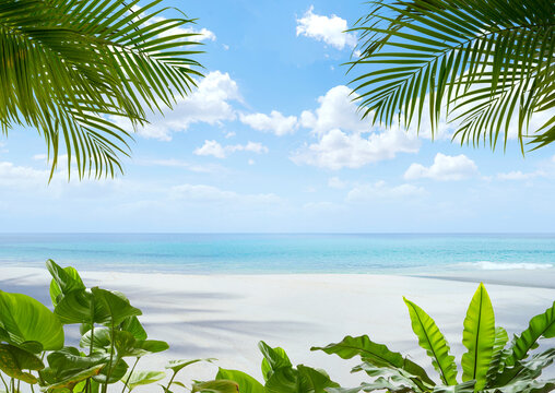 View of nice tropical beach with some palms