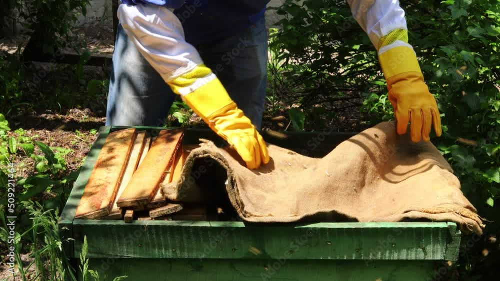 Poster beekeeper works in an apiary with a beehive