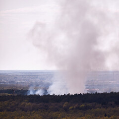 Smoke from the fire rises behind trees in the forest near city buildings