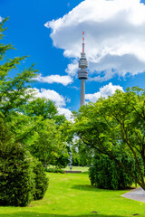 Obraz premium landscape with trees and sky