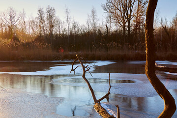 frozen lake at sunrise in the woods