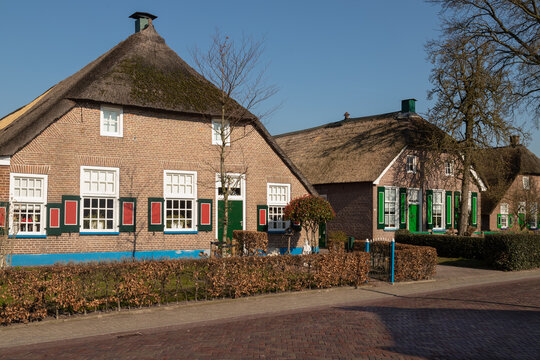 Farms with brightly colored shutters and thatched roofs in the village of Staphorst.