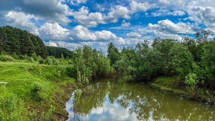 Forest Siberian river