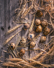 Fresh quail eggs on a  wooden background.Concept of preparation for cooking.