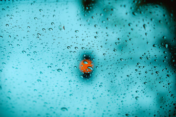 Luz roja de semáforo desenfocada con gotas de lluvia en una ventana en primer plano
