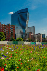 Glass skyscraper surrounded by flowering field