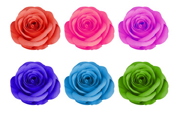 beautiful 6 roses, 6 colors, placed on a white background, nature, flower, love, valentine, buddha
