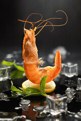 Flying prawns on lemon on dark background with ice. Creative design of seafood cooking concept.