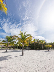 white sand beach in the panamanian pacific © Walter