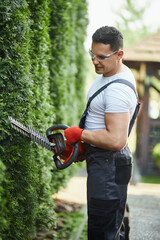 Handsome caucasian man in overalls, safety glasses and gloves pruning hedge with electric garden...