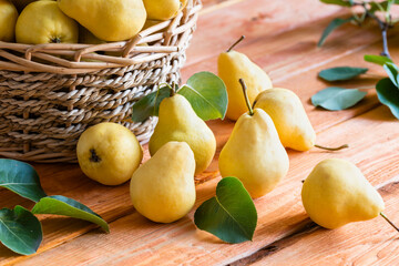 Yellow ripe pears on a wooden table close-up