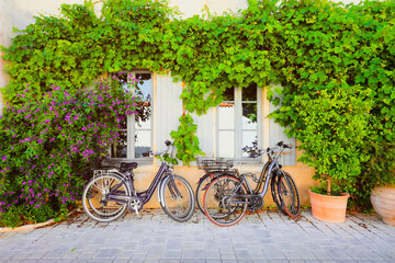 Fototapeta na wymiar bicycles leaning on wall covered with berries of grapes and leaves