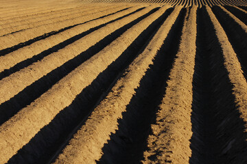 a plowed field. Creating a furrow in an arable field, preparing for planting crops in the spring.