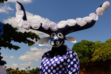 Um mascarado, personagem da festa chamada Cavalhadas. Uma festa brasileira de cunho religioso .