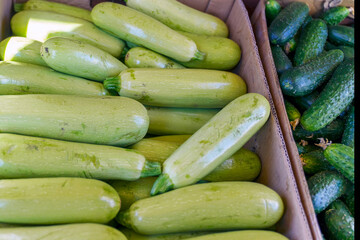 Green zucchini and cucumbers in boxes for sale
