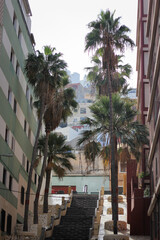Gran Canaria, palmowe schody. © Jakub