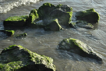 rocks in the water