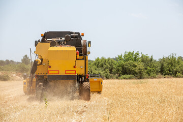 Combine harvester harvesting barley fields.Agricultural machinery
