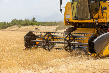 Fototapeta na wymiar Combine harvester harvesting barley fields.Agricultural machinery