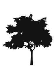 Lemon tree silhouette vector
Isoleted tree_ Black and white