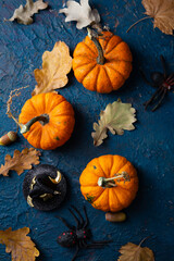 Overhead view of small decorative pumpkin autumn concept
