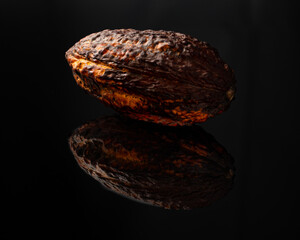 cacao fruit on a black background