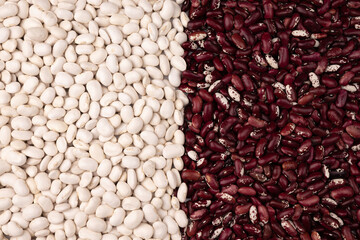 red and white kidney beans, top view