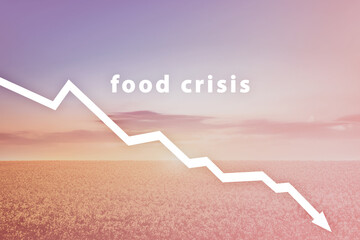 Food crisis. Failed grain harvest. The shortage of bread. Russia's aggressive war in Ukraine....