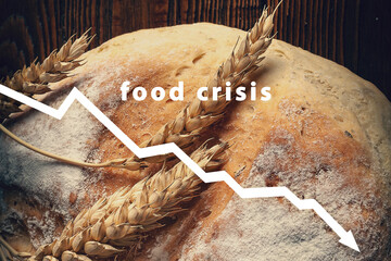 Food crisis. Failed grain harvest. Bread shortage. Russia's aggressive war in Ukraine. Stolen crop....