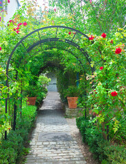 Fototapety  Arched entrance with roses