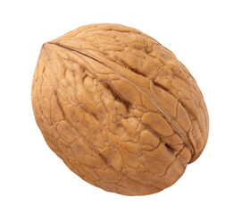 Single delicious walnut, isolated on white background