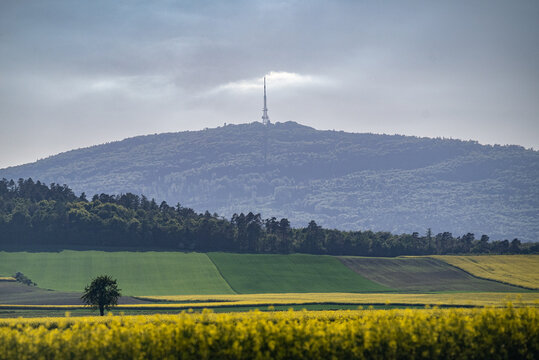 Polish Moutains - Poland - Field in the mountains - spring, yellow and green color - Poland - Sleza Mount - High Quality image