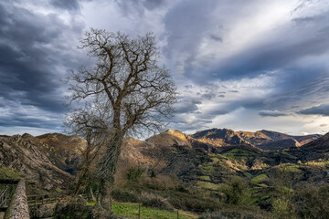 Sunset in the Mountains